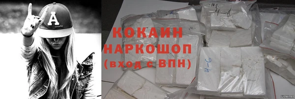 индика Аркадак