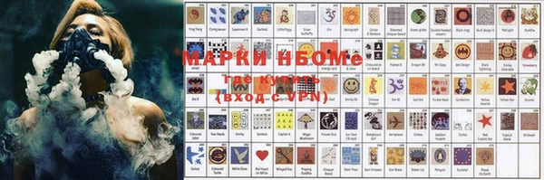 индика Аркадак
