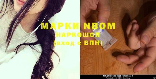 индика Аркадак