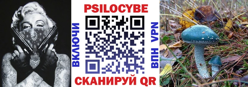 Галлюциногенные грибы GOLDEN TEACHER  где можно купить наркотик  Урус-Мартан 